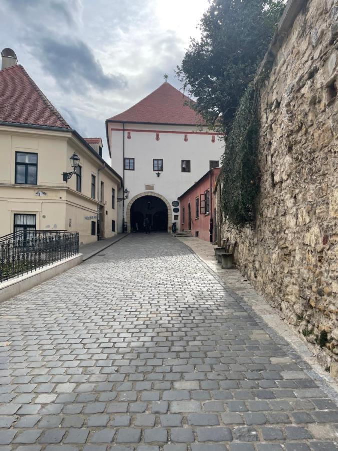 Grich Witch Apartment Zagreb Eksteriør bilde